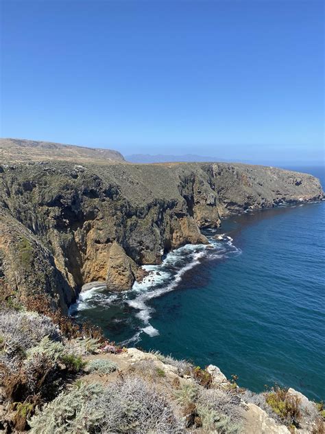 A Complete Guide to Visiting Santa Cruz Island in Channel Islands ...