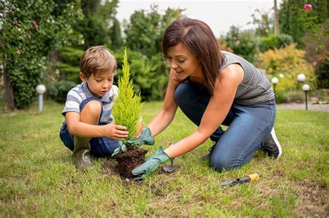Image result for Lessons When Planting Trees