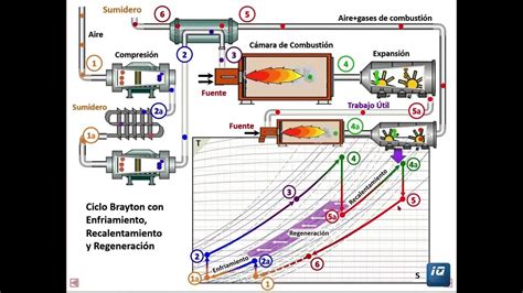 Image result for Lab Report Example 3rd Person