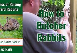 Image result for Butchering Rabbits