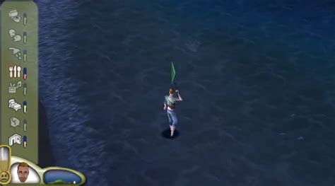 Image result for Sims Castaway