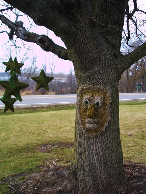 Image result for Tree Ent