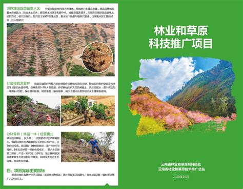困难立地植被恢复造林模式示范推广项目-云南省林业和草原技术推广总站
