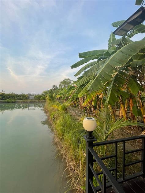 FALIK FARM STAY (Ayutthaya) - B&B Reviews, Photos, Rate Comparison ...