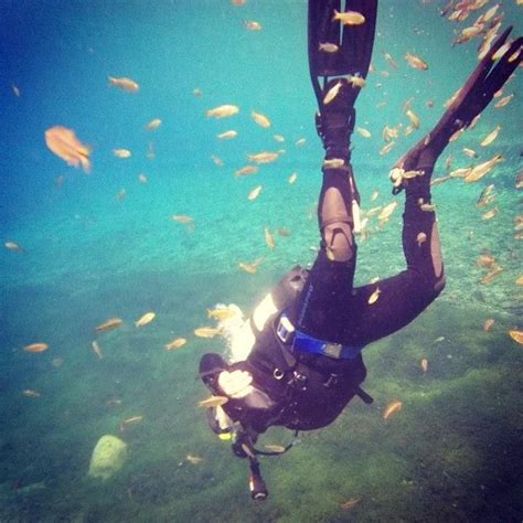 Balmorhea State Park Pool: Pictures & Reviews - Tripadvisor