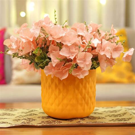 FLAT 50% OFF – Behoma