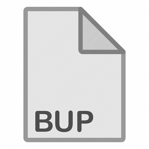 Image result for BUP File Format