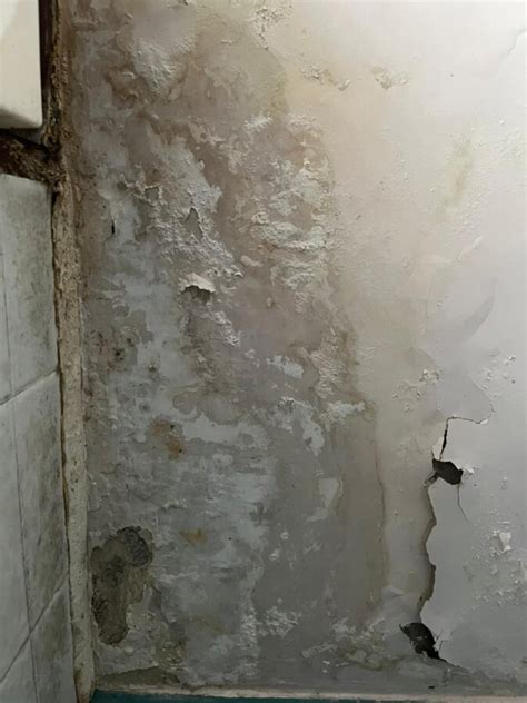 Noida Authority Online — Seepage issue in my flat at Overseas Apartment ...