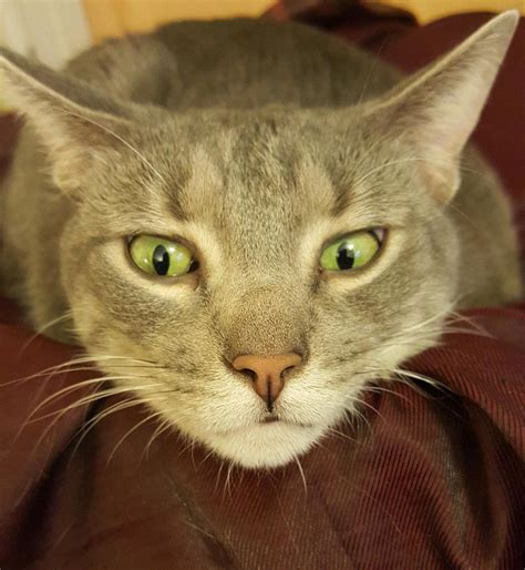 Max the Mighty by onthethruway on DeviantArt