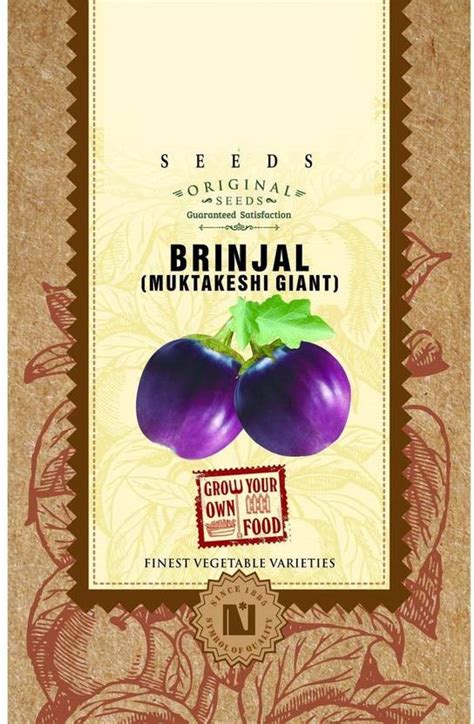 DIOART ® PUSA-162-Brinjal Muktakeshi Giant Seeds Seed Price in India ...