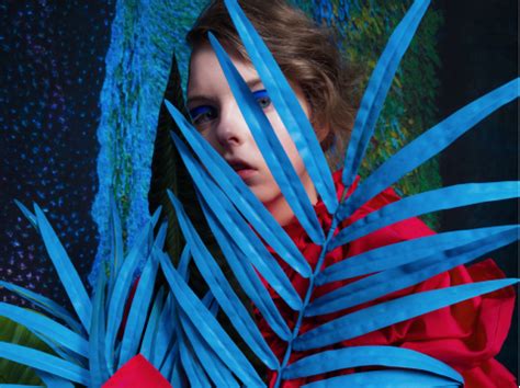 OnePlus × Hasselblad - OnePlus (India)