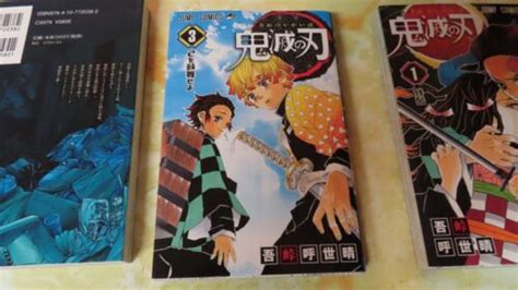 Demon Slayer Kimetsu No Yaiba #3 Manga Comic Book | Ubuy India