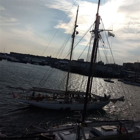 Maine State Pier (Portland) - Lohnt es sich? Aktuell für 2026 (mit Fotos)