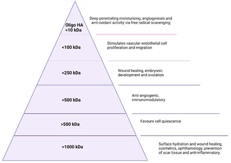 Hyaluronic Acid: A Review of the Drug Delivery Capabilities of This ...