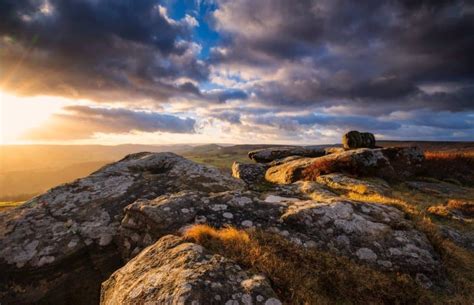 Image result for Nik Tutorial