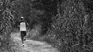 Image result for Understanding Exercise