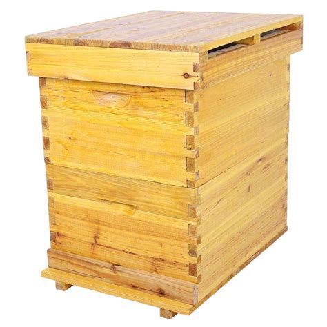 Buy Beehive Box, Complete Bee Hive Kit 10 Frame Beekeeping Box Kit ...
