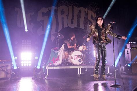 Image result for The Struts Live