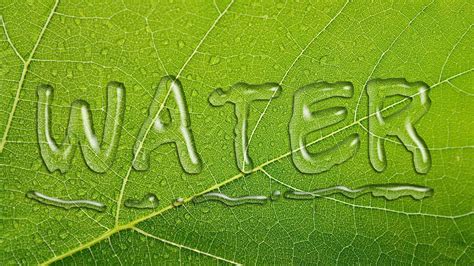 Image result for Water Text Photoshop Tutorial