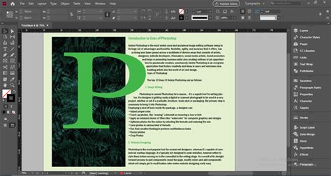 Image result for Indesign Layout Tips