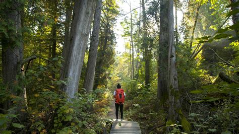 The 5 best hikes in Wisconsin - Lonely Planet