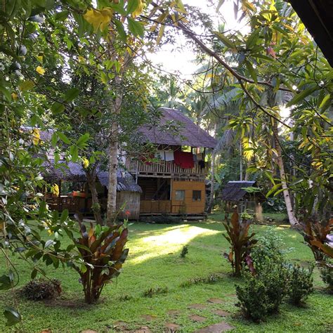 BOHOL NIPA HUTS (Loboc, Bohol Province) - Lodge Reviews, Photos, Rate ...