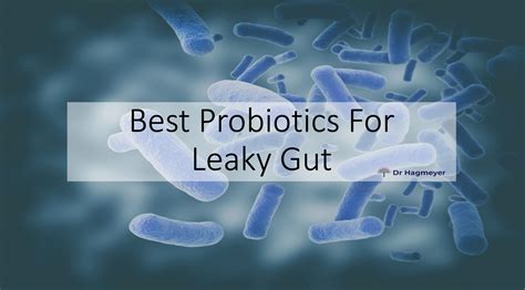 Best Probiotics For Leaky Gut- Why Some Work and Why Some Don't | Dr. Hagmeyer