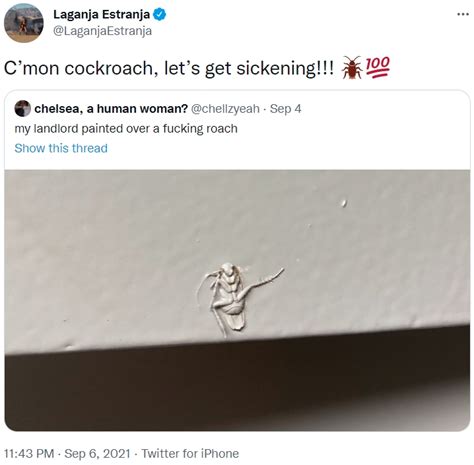 Cockroach Meme 的图像结果