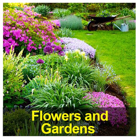 Narad (Richard Eggenberger) - musician, poet, landscaper, gardener