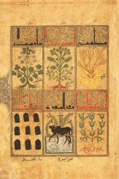 Kitâb al-Diryâq | Meer