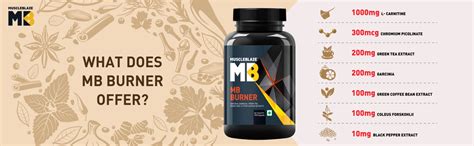 MuscleBlaze MB Burner (60 Tablets) | L- Carnitine, Garcinia Cambogia ...