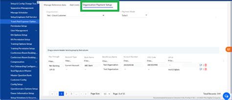 Travel and Expense Option setup