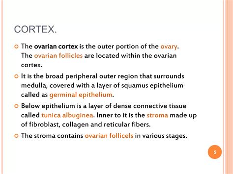 Histology of ovaries | PPTX