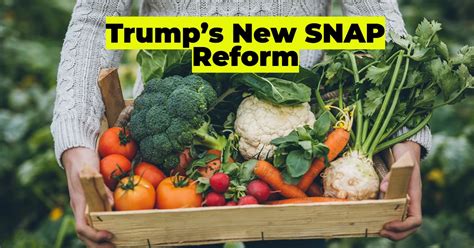 Trump’s New SNAP Reform: A Lifeline or a Cutback? How Stricter Rules ...