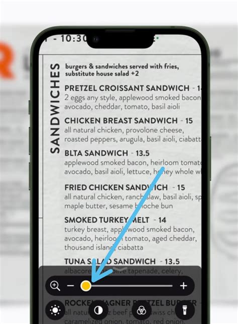 Image result for Screen Magnifier for iPhone