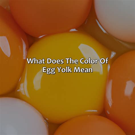 What Does Light Yellow Egg Yolk Mean at Ellie Ezell blog