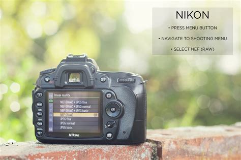 Raw Image Format 的图像结果