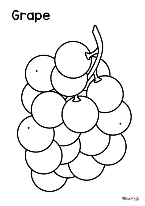 Grape Coloring Pages (Free Printable PDFs) | WakeTheKids