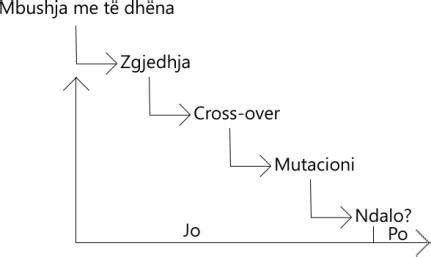 Image result for Genetic Algorithm Functional Schema