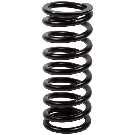 Image result for Front Coil Spring