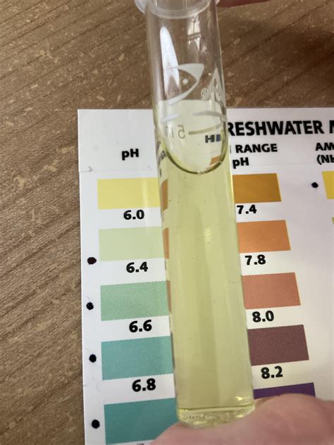 why is my distilled water ph so low? i thought it had to be a 7 : r ...