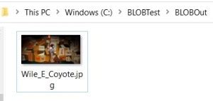 Image result for How to Extract Blob Data.sql