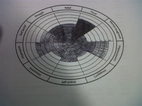 Image result for Performance Profiling Wheel