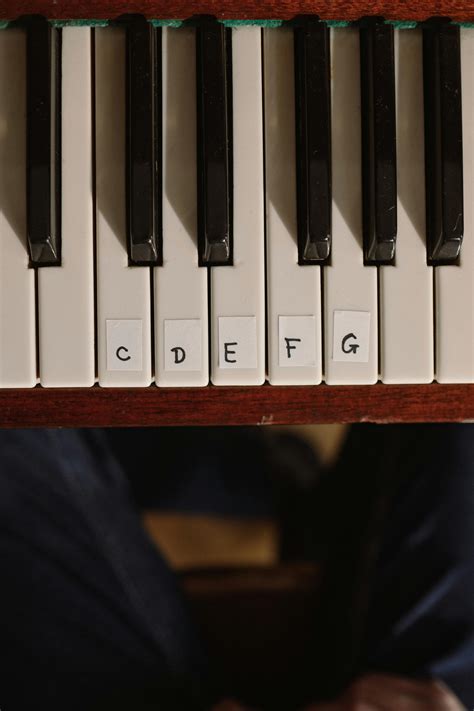 Image result for Music Notes Sounds