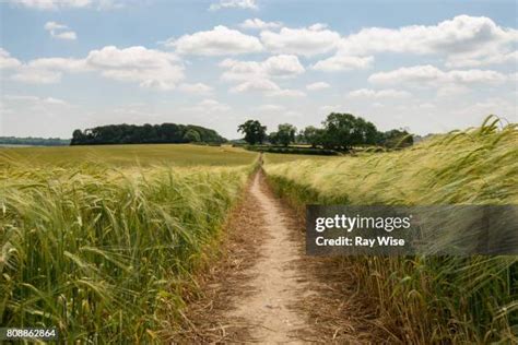 Path through Field 的图像结果