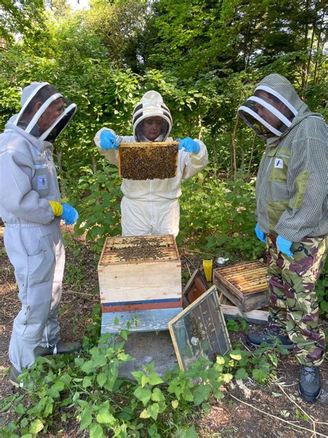 Image result for Basic Beekeeping Course