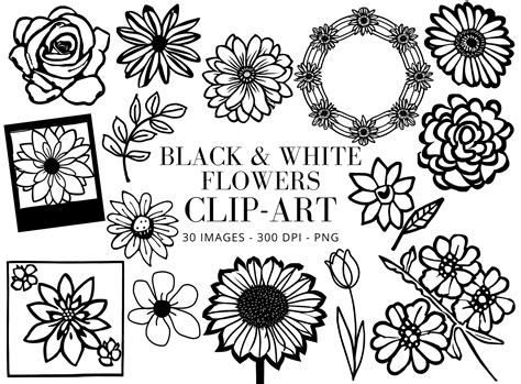 Flower Clipart Black & White Hand Drawn Graphic by Victoria Gates ...