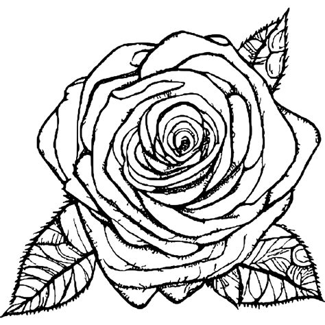 Rose Super Coloring Pages at Edith Carter blog