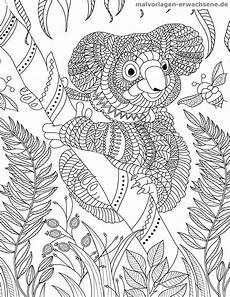 malvorlagen erwachsene malvorlage koala f 252 r erwachsene ausmalbilder kostenlos malvorlagen erwachsene malvorlage koala f 252 r erwachsene ausmalbilder kostenlos