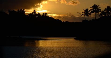 Quiet 的图像结果